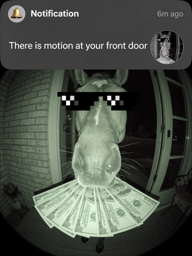 Motion at your front door